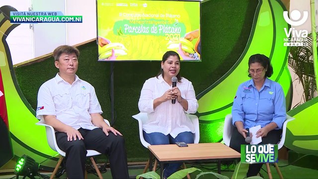 INTA y Mefcca convocan a concurso a productores de plátanos