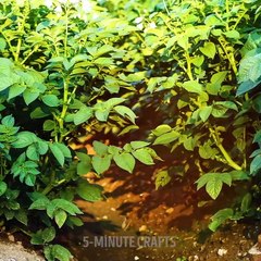 Stupidest Life Hacks | Tiktok Compilation