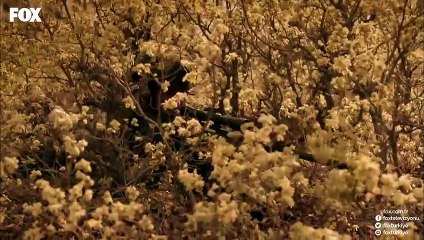 'Vatan sağolsun, nazlı Kerkük var olsun!'