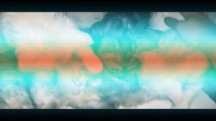 TIPS MERAWAT BULU KUCING AGAR SEHAT