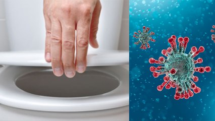Toilet Pipe से क्या वाकई फैल रहा Corona Virus, Research में आई बात सामने | Boldsky