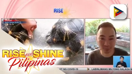 Tamang pag-aalaga ng tortoise