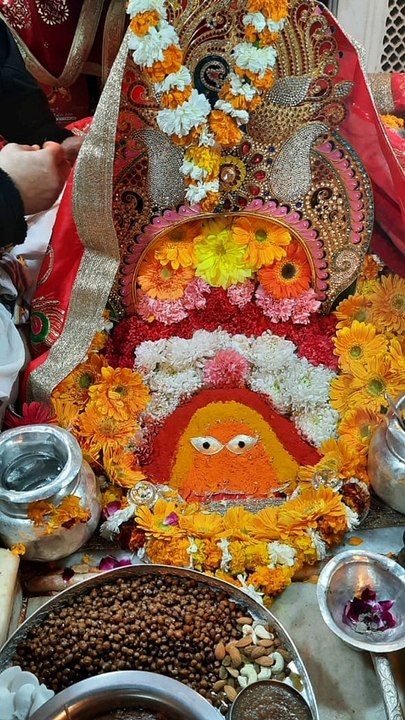 Bhajan Diary - Jara Samne toh aao Sheranwaliye Nitt Pooja Teri Tasveer Nu