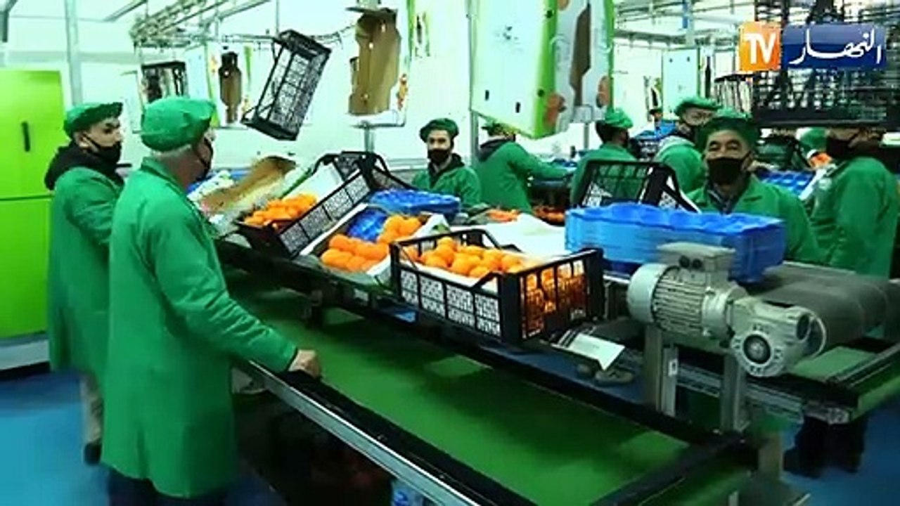 فلاحة: منتجات الشركة الجزائرية للتجارة المتيجة تدخل الأسواق العالمية
