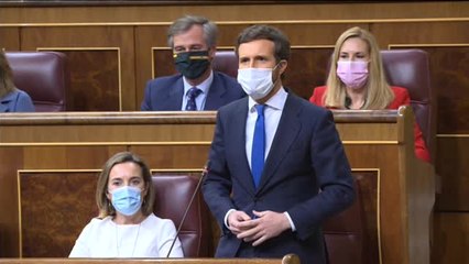 Casado a Sánchez: "Deje de meter la cabeza en el suelo como una avestruz porque su empecinamiento cuesta vidas"