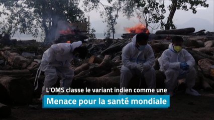 L'OMS classe le variant indien comme une menace pour la santé mondiale