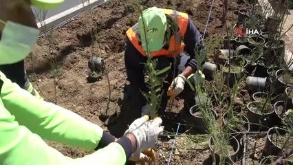 Başkent'te peyzaj çalışmaları hız kesmeden devam ediyor