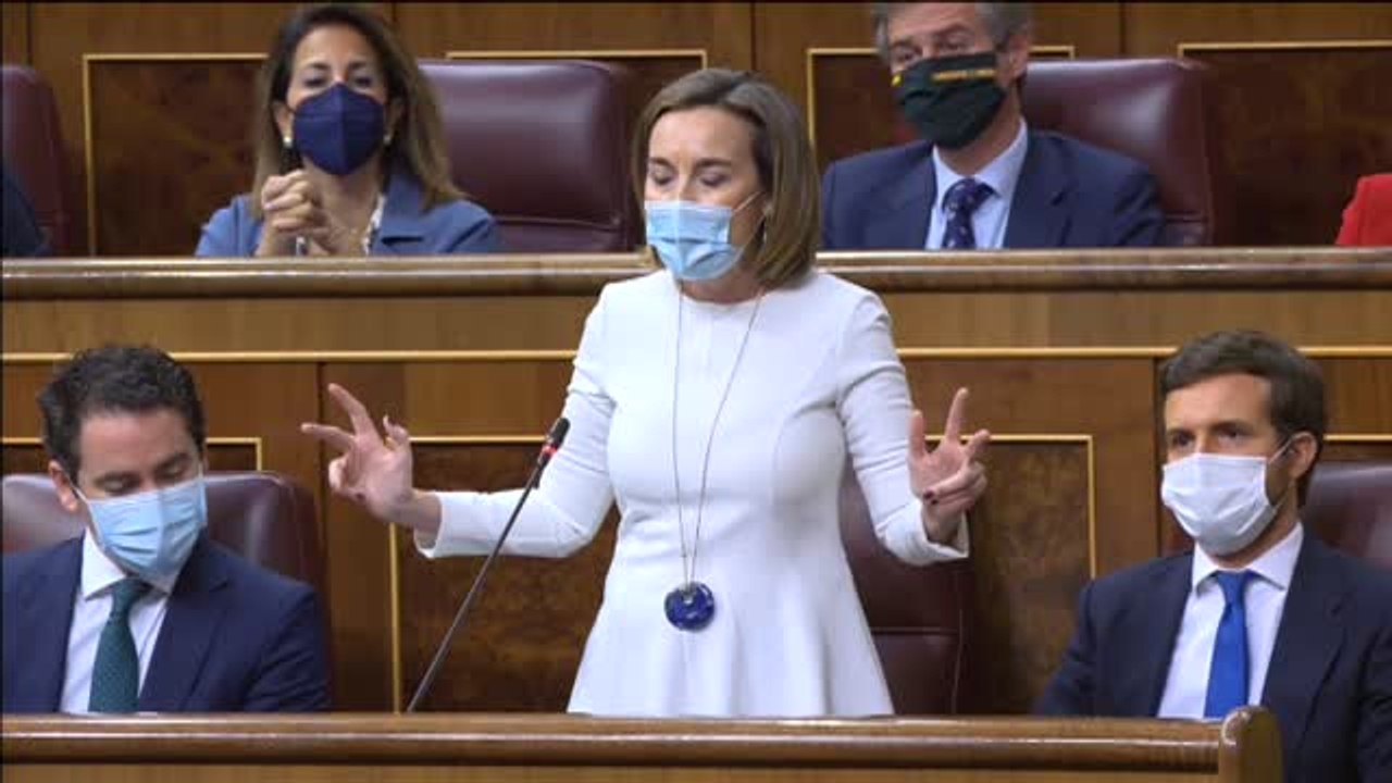 Gamarra a Calvo: "Están de los nervios porque la mala gestión de la pandemia se los lleva por delante"