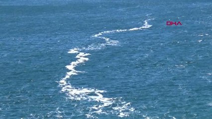 ÇANAKKALE Kuvvetli rüzgar deniz salyasını dağıttı