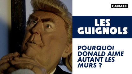 Pourquoi Donald aime autant les murs ? - Les Guignols - CANAL+
