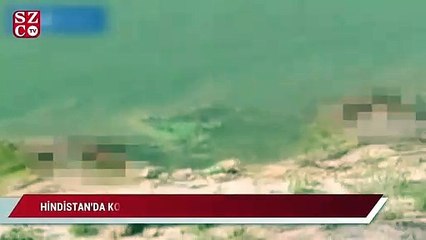Hindistan'da korkunç görüntü