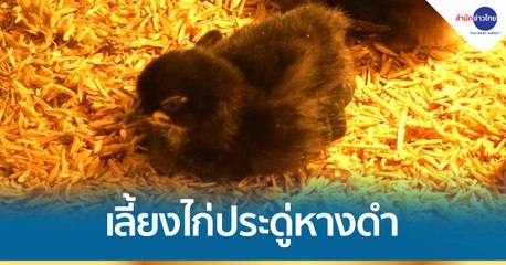 ข่าวเที่ยง (ช่วงที่ 3) วันพุธที่ 12 พฤษภาคม 2564