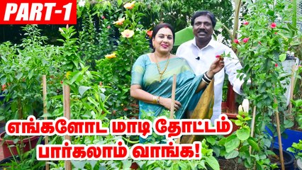 அனிதா  குப்புசாமி மாடித்தோட்டம் _ Anitha Kuppusamy Terrace Garden