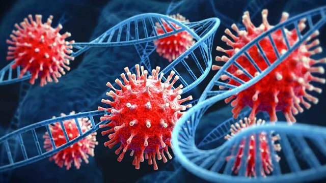 Triple mutant variant of corona highly contagious: WHO