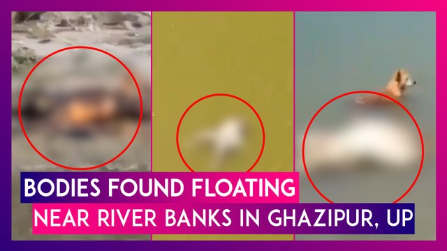 After Bihar Horror, UP's Ghazipur District Sees Bodies Near River Banks