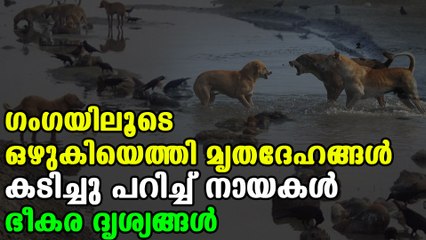 Bodies floating in Ganga | Oneindia Malayalam