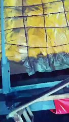 Behind the scenes of Pleasure Beach's Valhalla