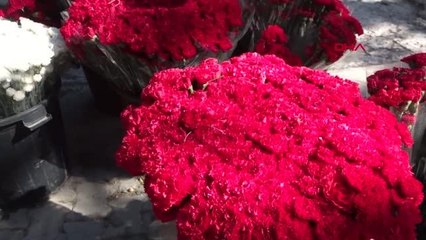 KUŞADASI BELEDİYESİ MEZARLIKLARI ÇİÇEKLE DONATTI