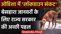 Odisha: Lockdown में बेसहारा जानवरों को खाना खिला रही है Odisha Government | वनइंडिया हिंदी