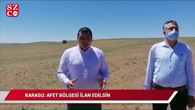 Sivas'ta tarım alanlarını kum fırtınası sonrası don vurdu