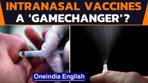 Intranasal vaccines: Better at cutting transmission, infection? | Oneindia News