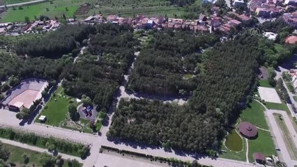 Boş kalan parkta yaşayan sincaplar sakinliğin keyfini çıkardı