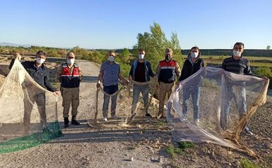 - İnci kefalinin kaçak avcılarına göz açtırılmıyor