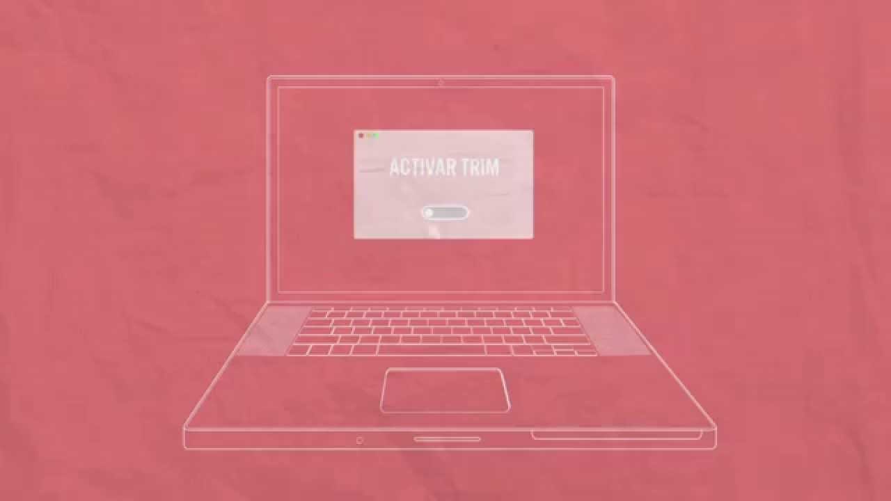 Discos SSD vs Discos duros HDD, ¿qué ofrece cada uno?