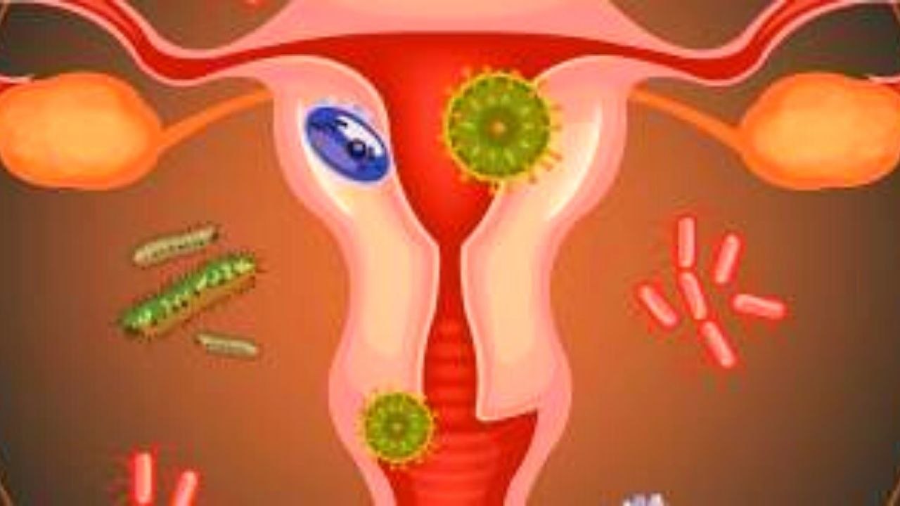 Coronavirus के दौरान Periods और S*x Hormones में क्या  संबंध हैं ? | Boldsky