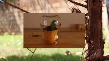 Conecta JP - 2ª Edição | Miguel Espírito