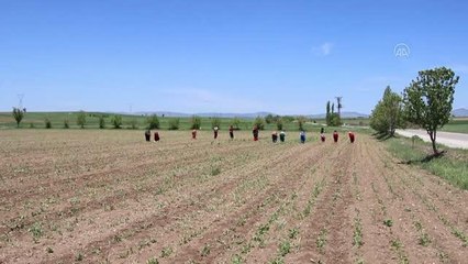 Vali Kocabıyık, tarlada çalışan mevsimlik işçileri ziyaret ederek "EBA destek noktası" sözü verdi