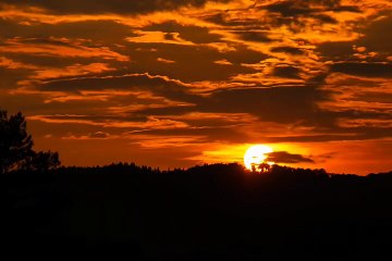 #short nature video,with background music