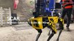 Un robot-chien déployé sur le futur site d’enfouissement de déchets radioactifs de Bure