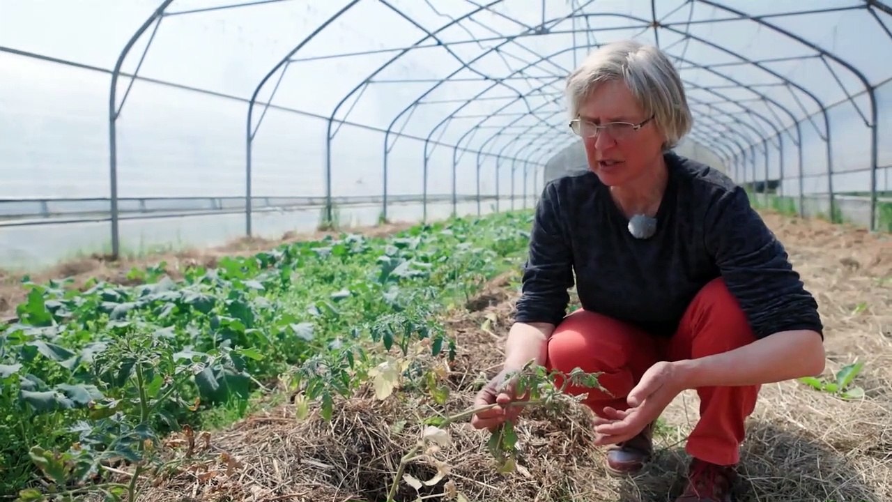 Klima-Reportage  Vier Betroffene bestreiten den Rechtsweg