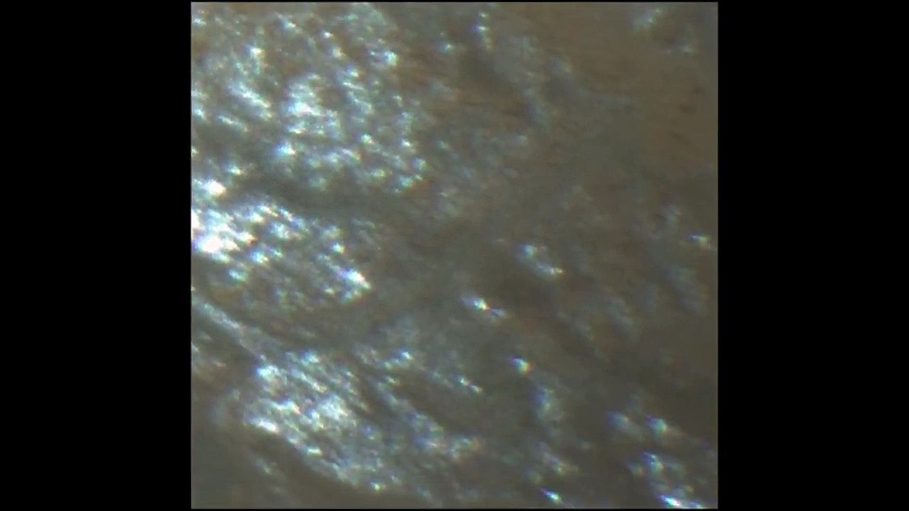 Perseverance Rover Find Ice and Biological Signs Pattern on Mars Rocks