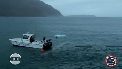 Michael Phelps perd sa course contre un requin blanc