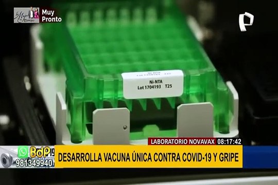 ¡Buenas noticias! Novavax obtiene resultados positivos en vacuna contra la COVID-19 y la gripe