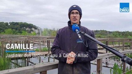 Au fil de l'eau - Camille, jardinier des jardins d’eau à Carsac Aillac