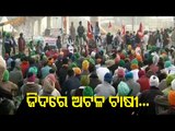 Farmers Reject Govt's Proposal On Farm Laws, Call For Nationwide Protest On Dec 14