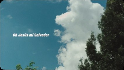 Mosaic MSC - Mi Salvador