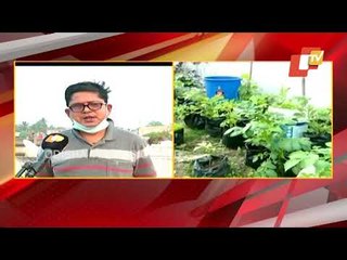 Doctor Adopts Hydrophonic Farming In Odisha