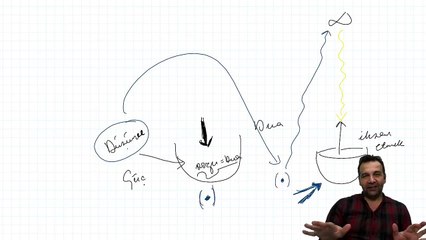 Hayvanlardan daha aşağı bir konumda mıyız?