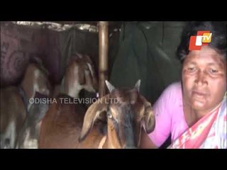 Elderly Couple Along With Four Divyang Daughters Struggle To Make Ends Meet