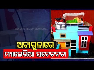 Nuapada Artist’s Food Art | Atta Art On Malaria Awareness