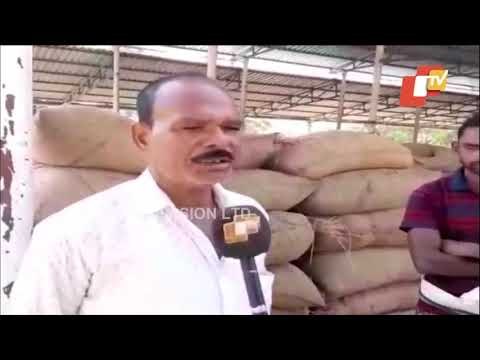 Farmers In Distress Due To Alleged Mismanagement At Mandi In Bargarh