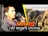 Balasore | Elephants Enter Village In Kuldiha Forest Division