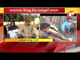 Odisha Winter | Mercury Drops In Kandhamal