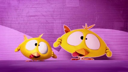 Where's Chicky_ Funny Chicky 2021 _ WHO LET THEM OUT_ _ Chicky Cartoon in English for Kids ( 720 X 1280 )