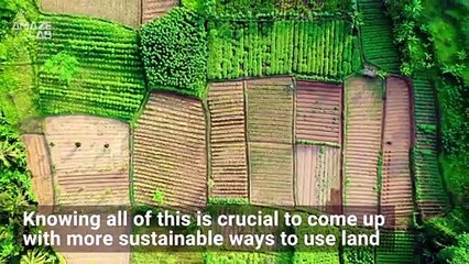 One-fifth Of Earth’s Land Has Been Repurposed in 60 Years