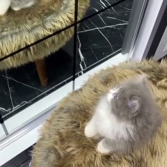 What are you looking for